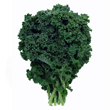 Kale Kale