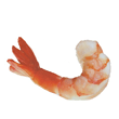 Shrimp Shrimp