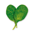 Spinach Spinach