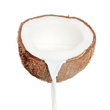 Coconut Milk Coconut Milk