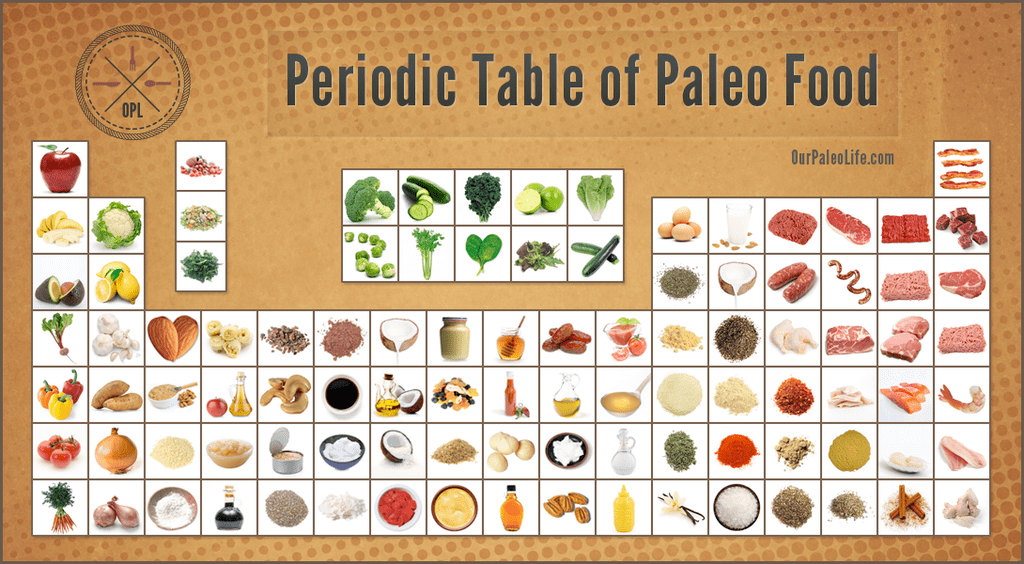 Why the Paleo Diet is Healthful Benefits of a Paleo Diet (OPL)