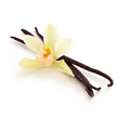 Pure Vanilla Extract Pure Vanilla Extract