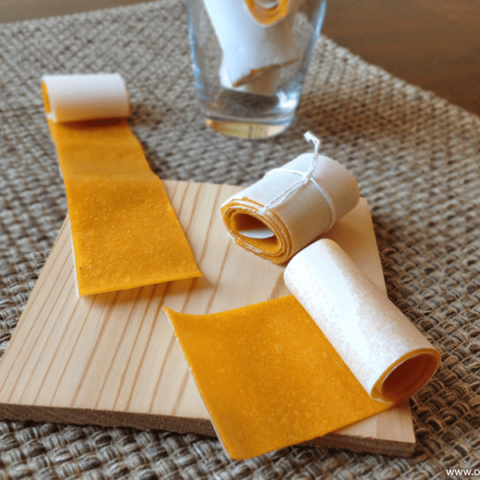 Mango Fruit Leather | Our Paleo Life