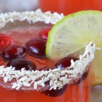 Cranberry Lime Spritzer | Our Paleo Life