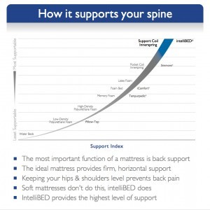 How intelliBED Supports Your Spine