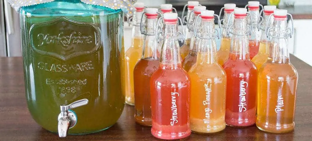 Continuous Brew Kombucha System