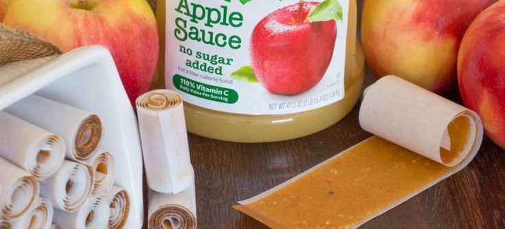 Apple Fruit Leather {no sweeteners added}