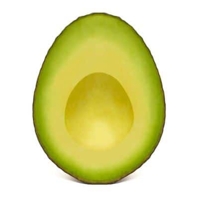 Avocado Avocado