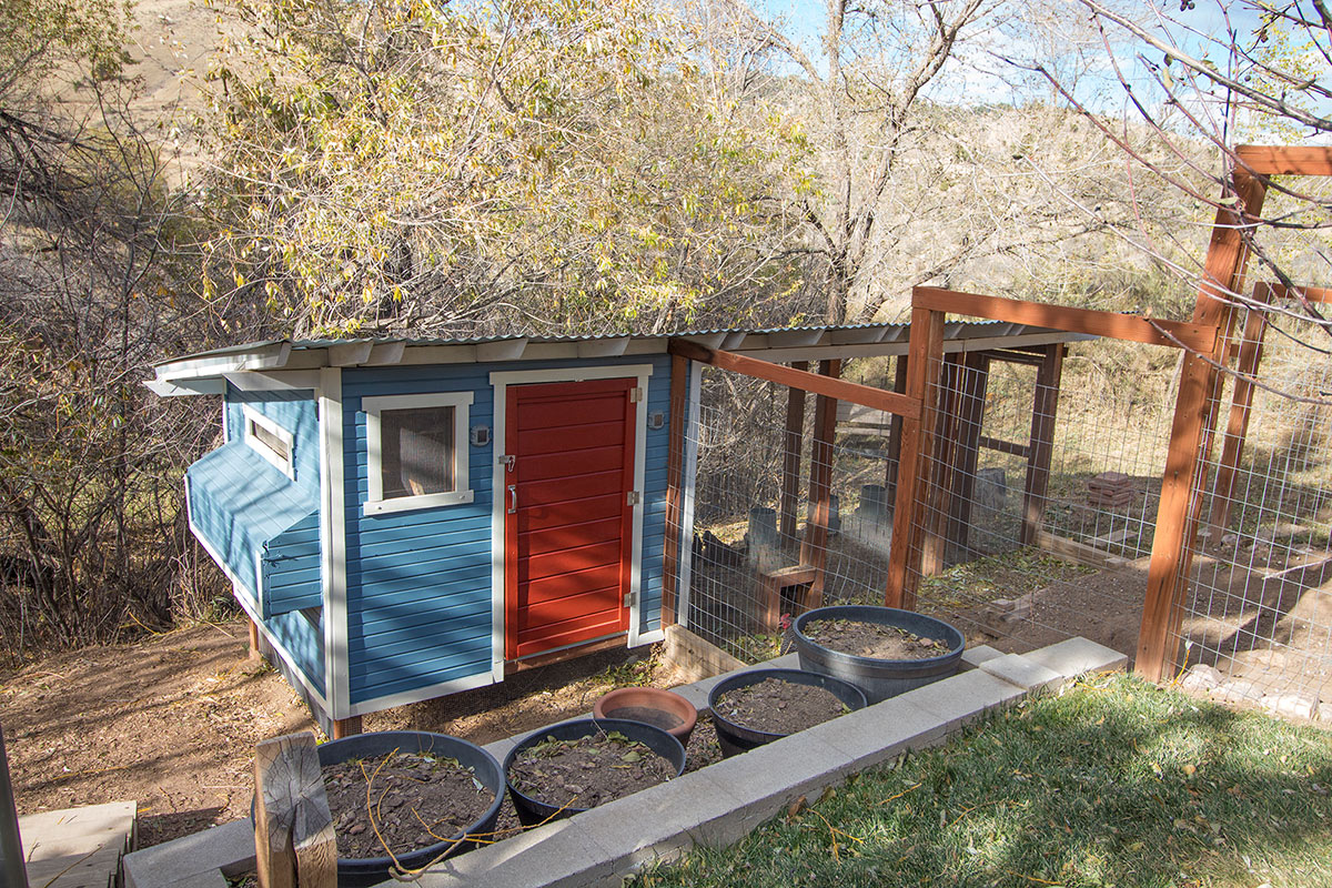 Backyard Chicken Coop Build