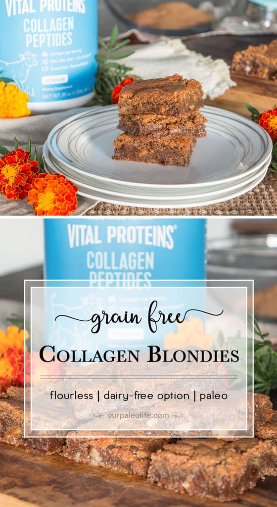 These Grain-Free Collagen Blondies are loaded with collagen peptides that can improve your hair, skin, nails, and joints all while enjoying a delicious dessert filled with allergen-friendly chocolate chips.