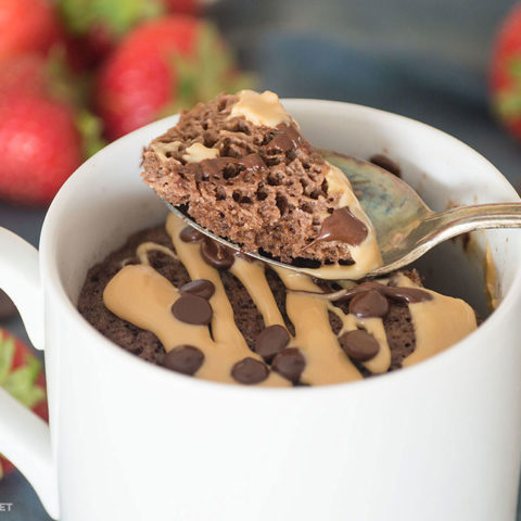 Keto Chocolate Almond Butter Mug Cake