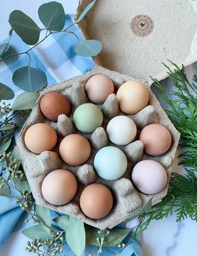 Buckhorn Cliffs Eggs