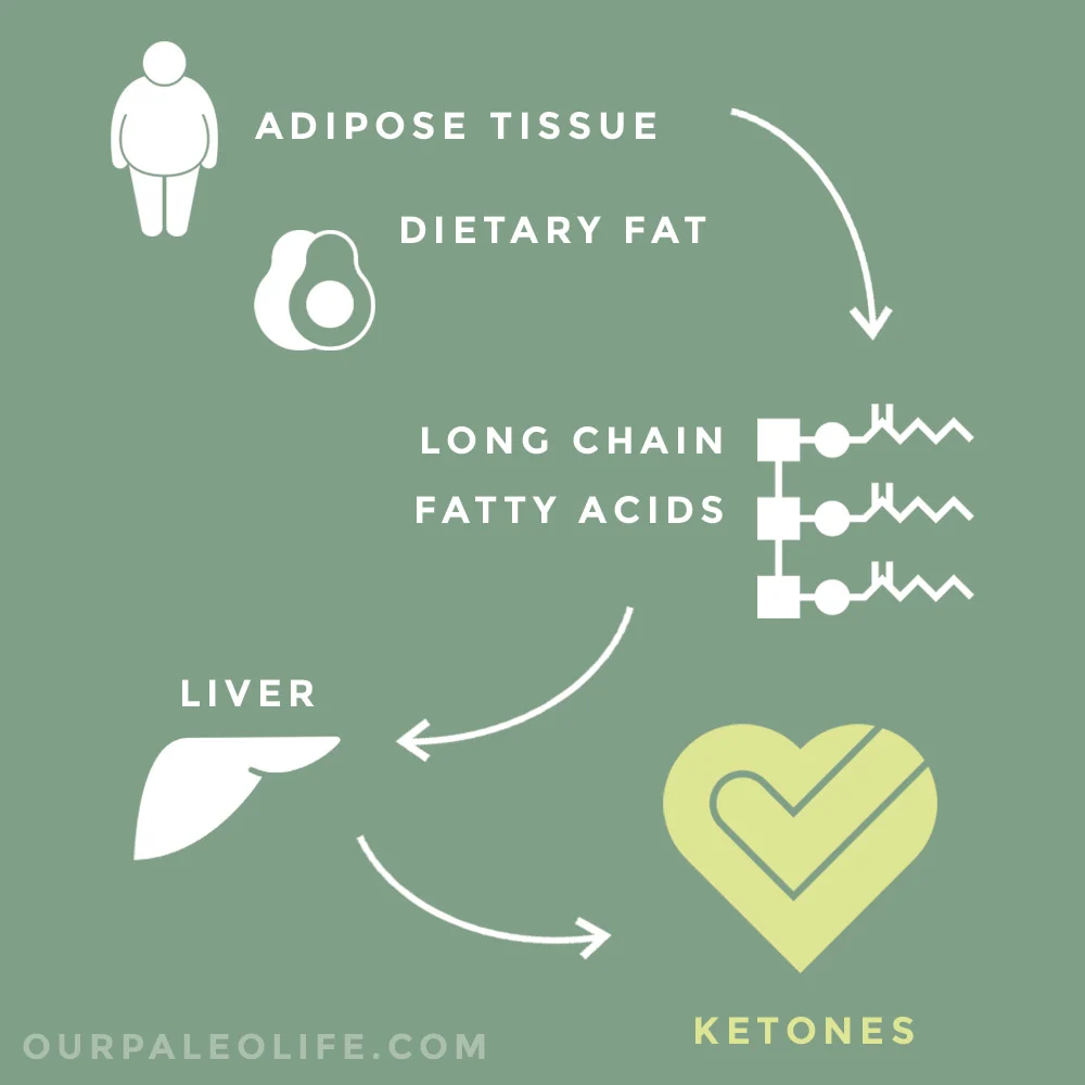 Ketone Production