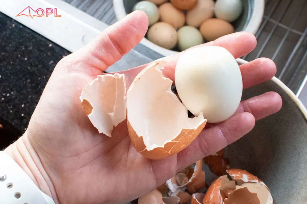 TasteGreatFoodie - How to Peel Hard Boiled Eggs in Under 10 Seconds 