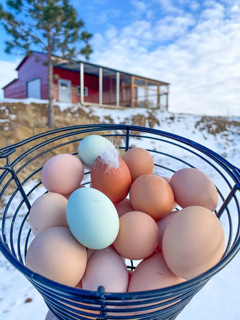 Buckhorn Cliffs Eggs