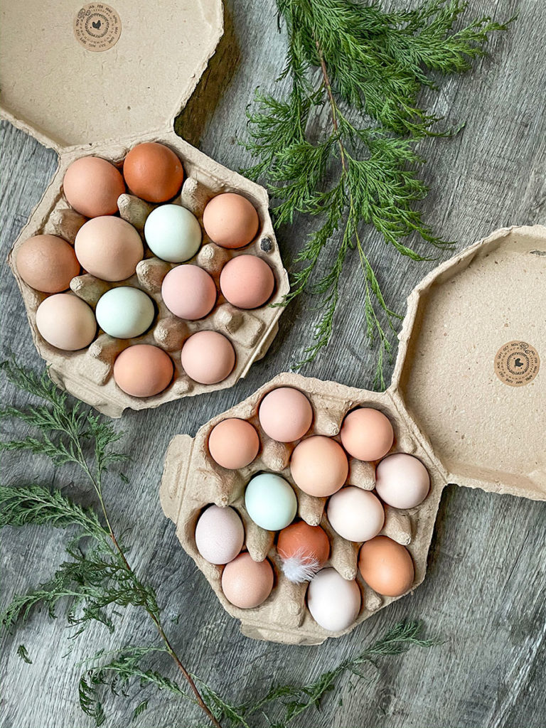Buckhorn Cliffs Eggs
