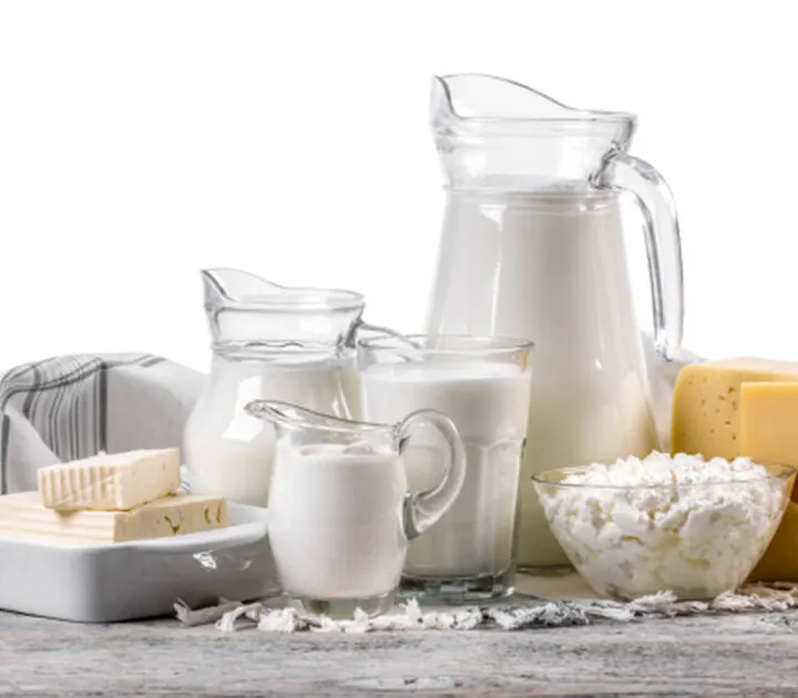 Saturated Fat in High Fat Dairy