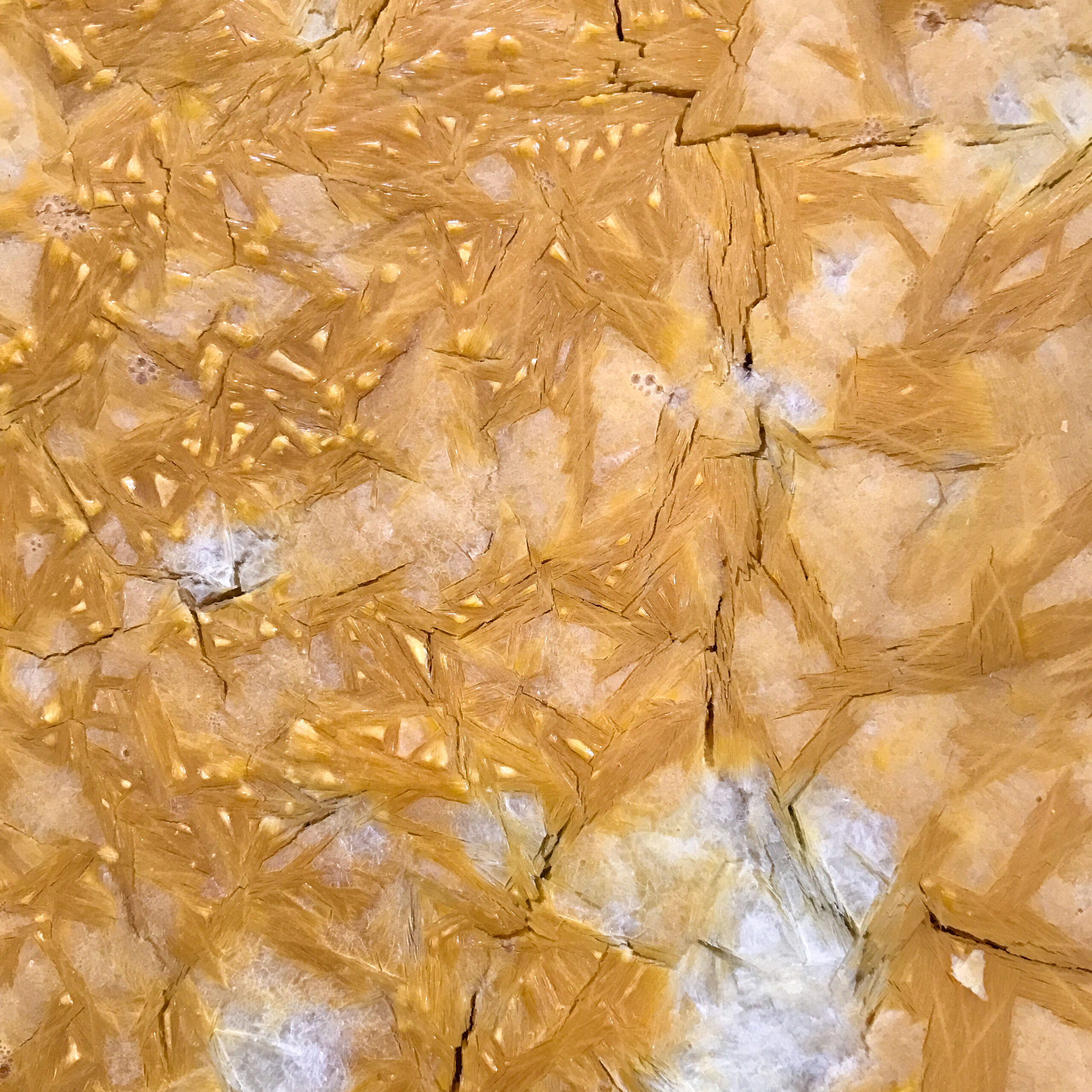 Freeze Dried vs. Dehydrated What's the best method for food storage?