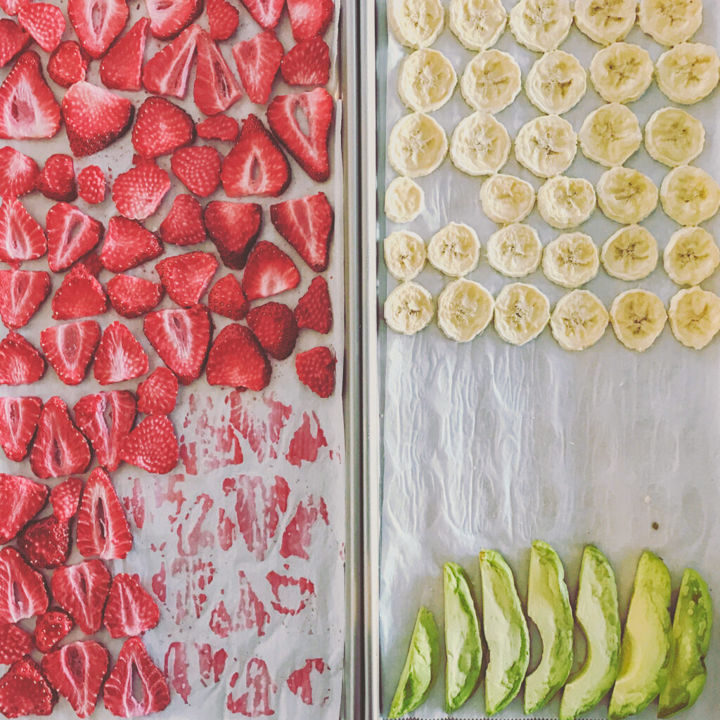 Freeze Drying vs. Dehydrating Food (Which is Best?) - Melissa K