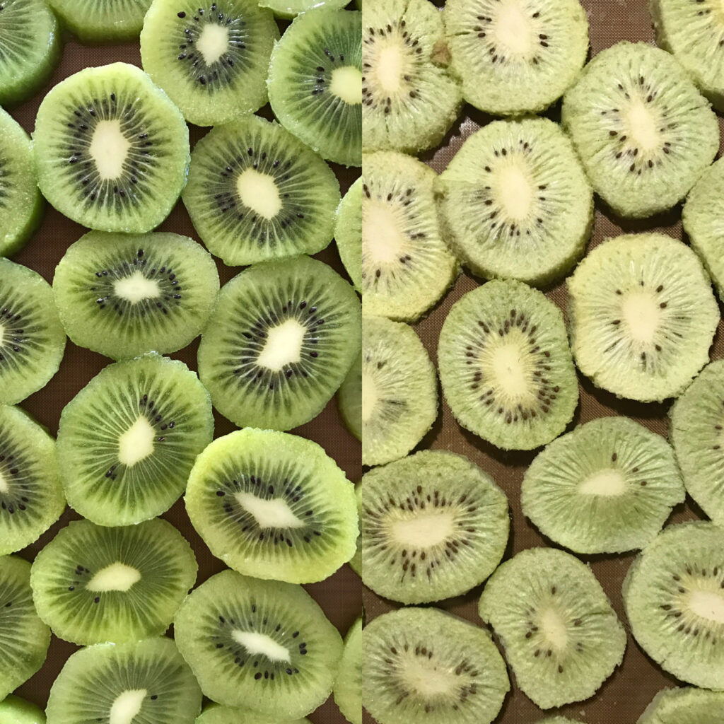 Freeze Dried Kiwi Slices