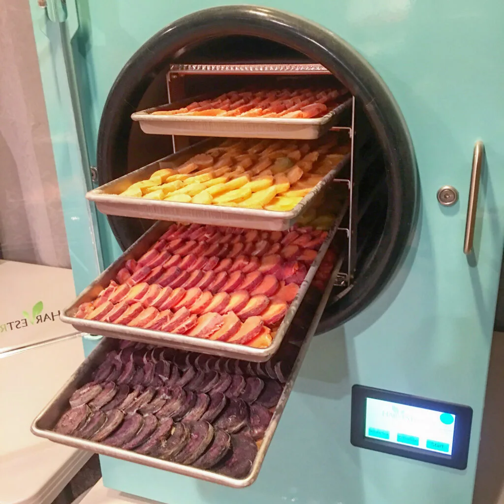 Freeze Dryer Trays Filled with Carrots