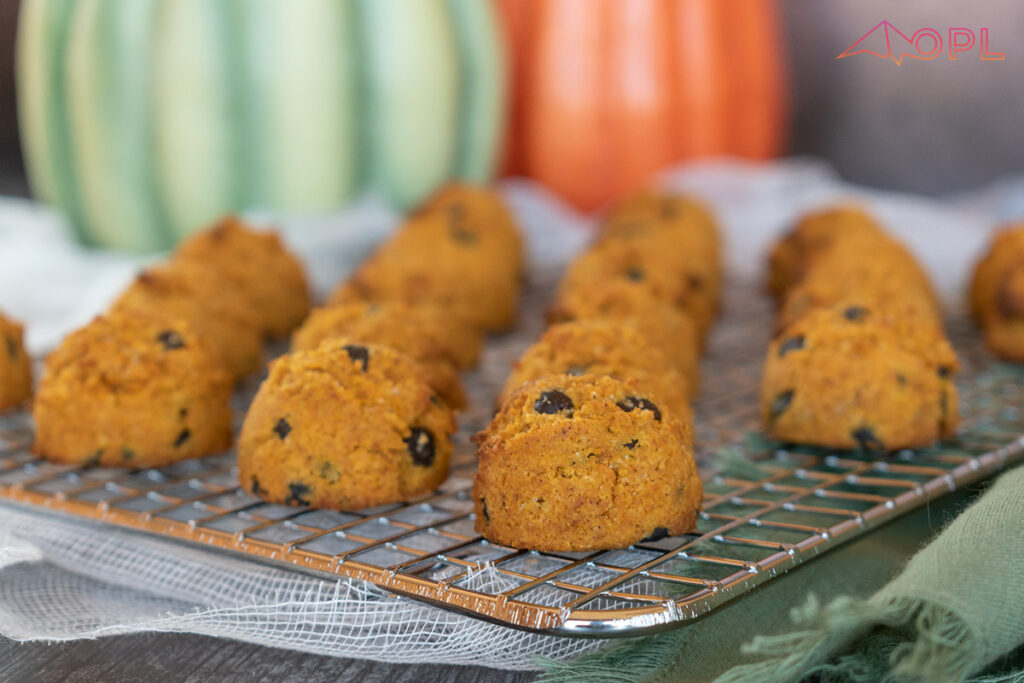 Pumpkin Chocolate Chip Cookie Bites