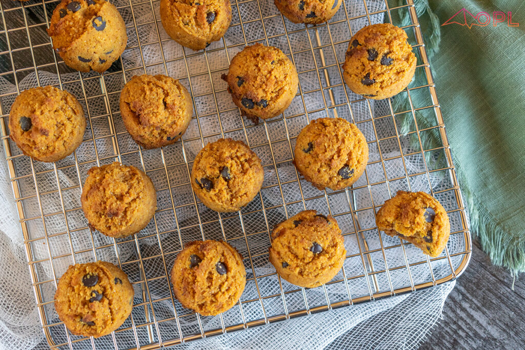 Pumpkin Chocolate Chip Cookie Bites