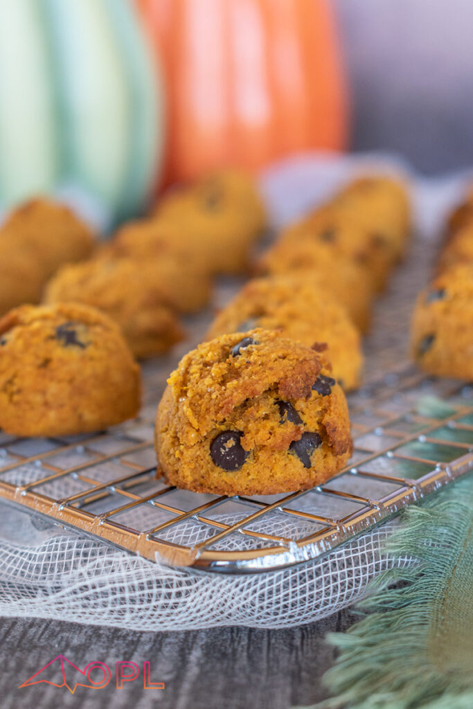 Pumpkin Chocolate Chip Cookie Bites