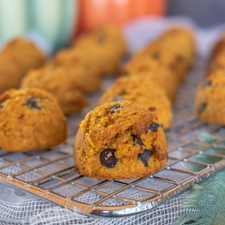 Pumpkin Chocolate Chip Cookie Bites