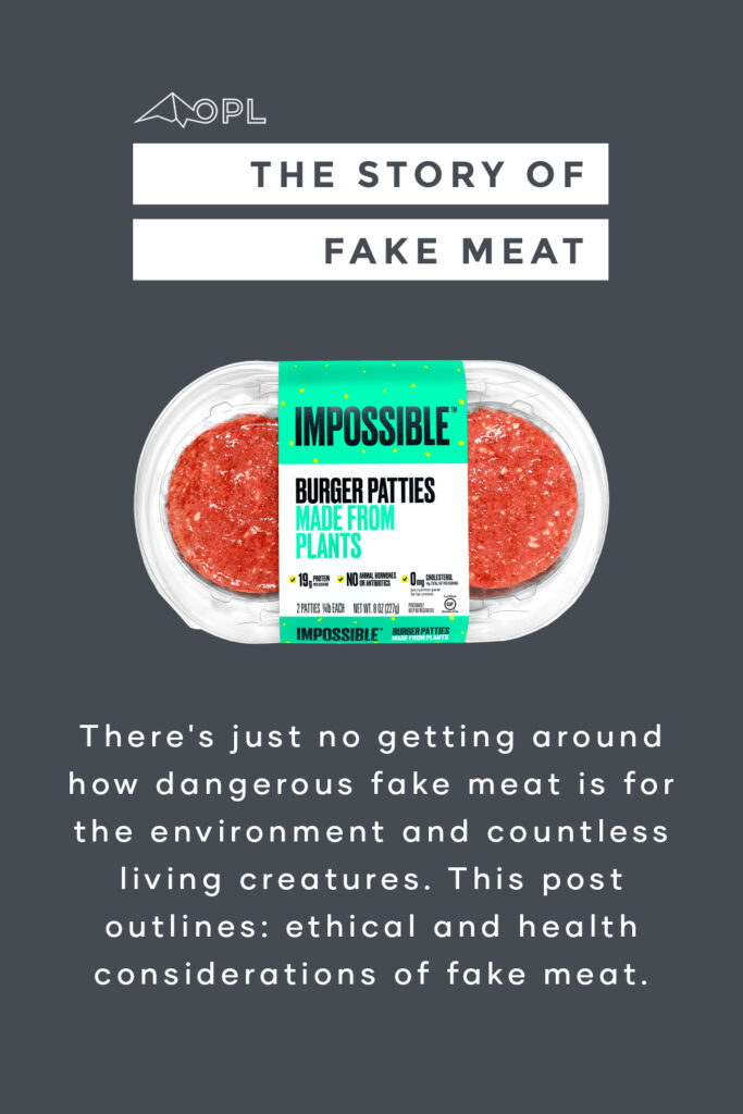 The story of fake meat