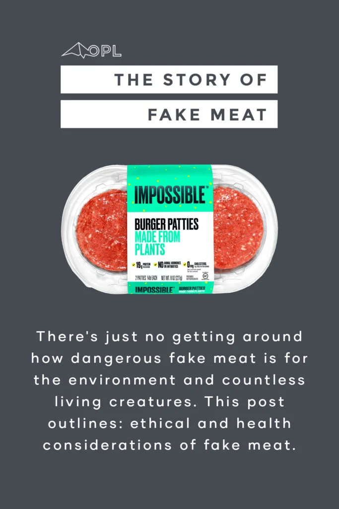 What is Fake Meat Made Of? The Truth About Fake Meat