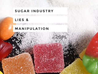 Sugar Industry Lies and Manipulation