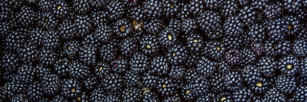 Blackberries