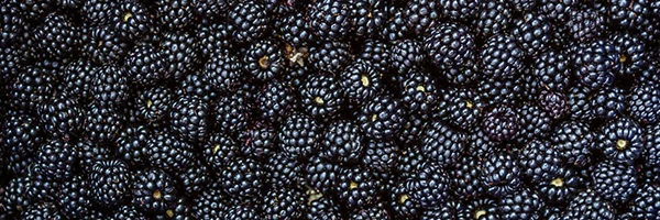 Blackberries