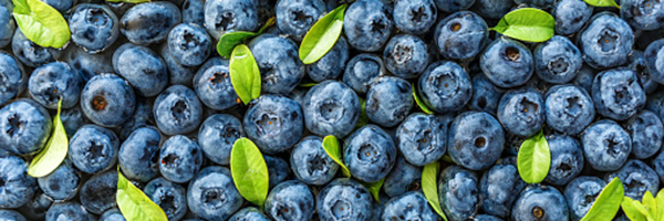 Blueberries