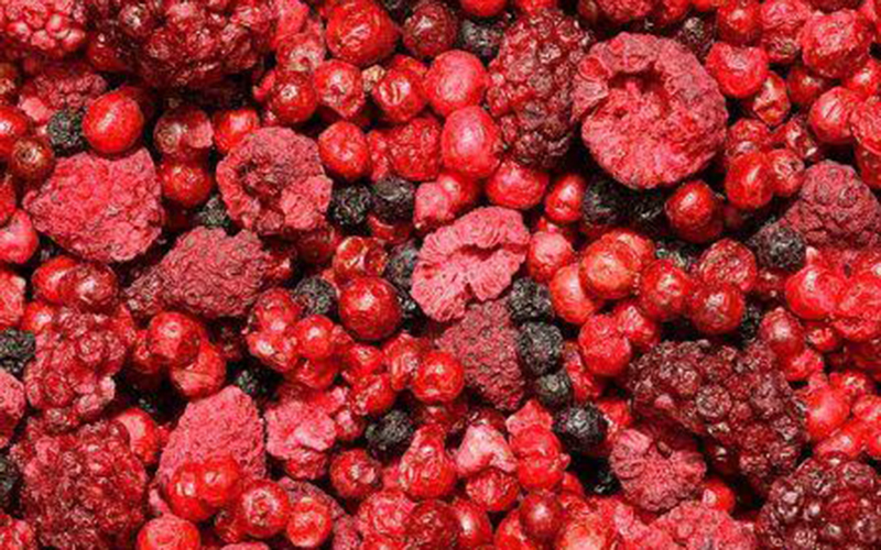 Freeze Dried Berries for Camping