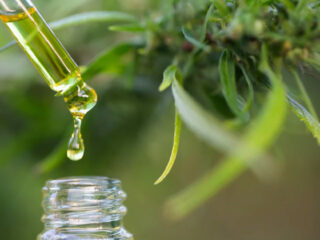 CBD and Diet