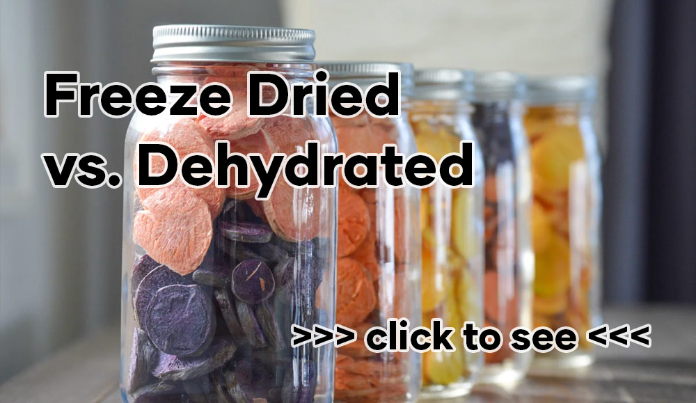Freeze Dried vs. Dehydrated