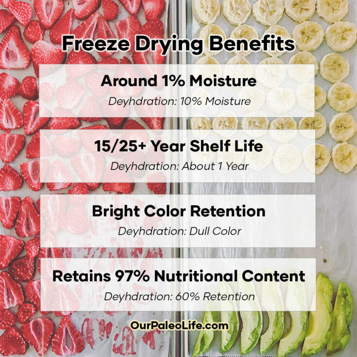 Freeze Dried vs. Dehydrated What's the best method for food storage?
