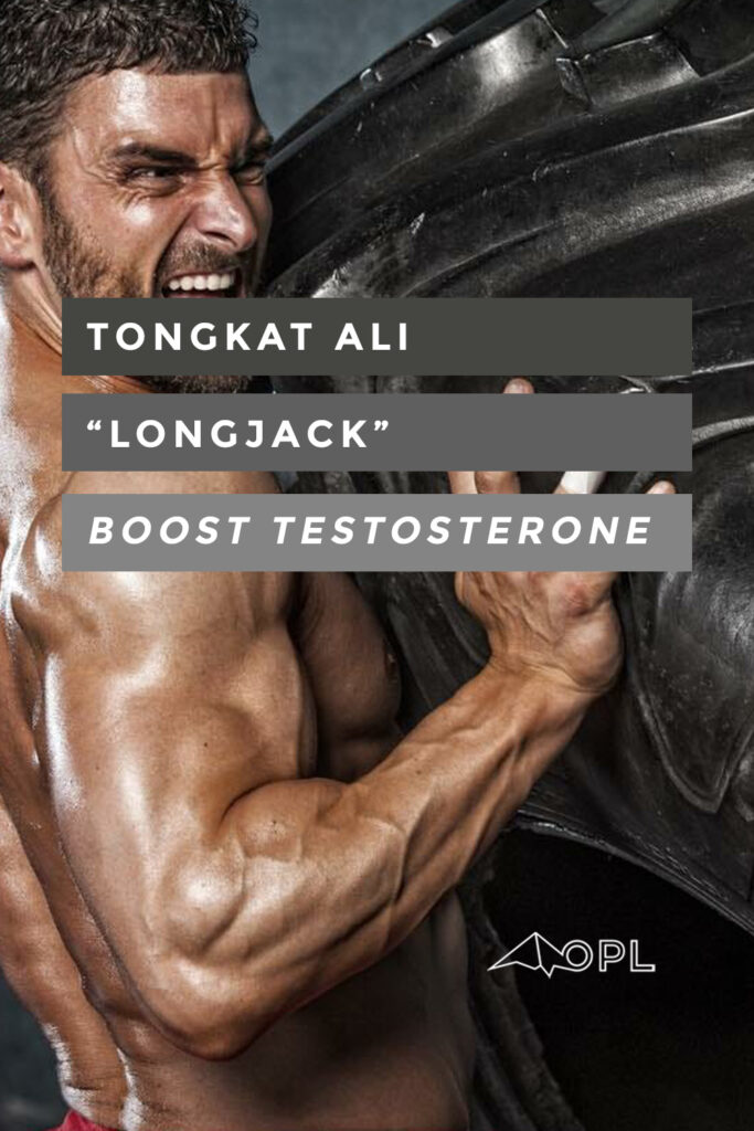 Boost Testosterone with Tongkat Ali