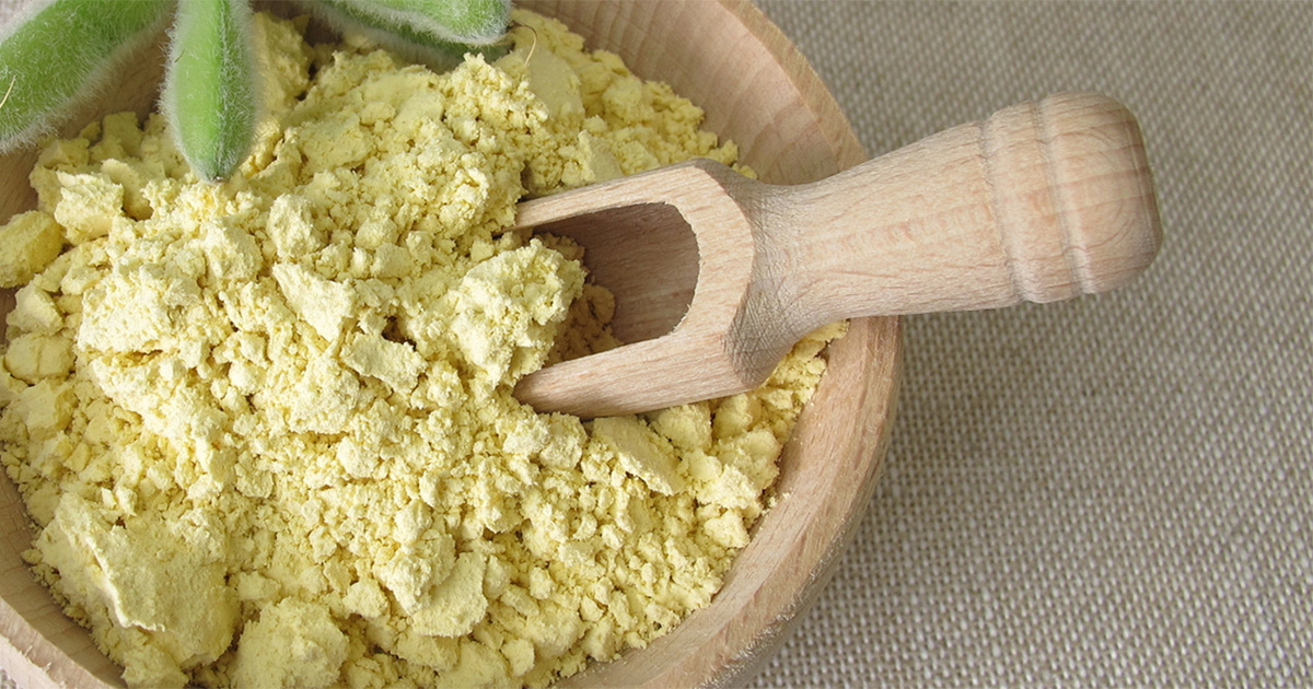 Lupin Flour Explained What is it and is it Keto Approved?