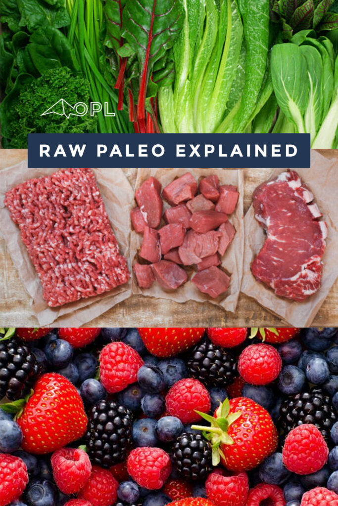 Raw Paleo Explained