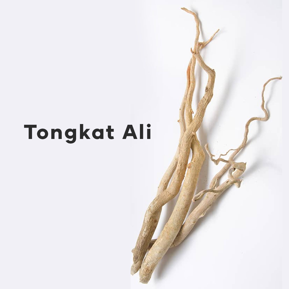 Tongkat Ali aka Longjack